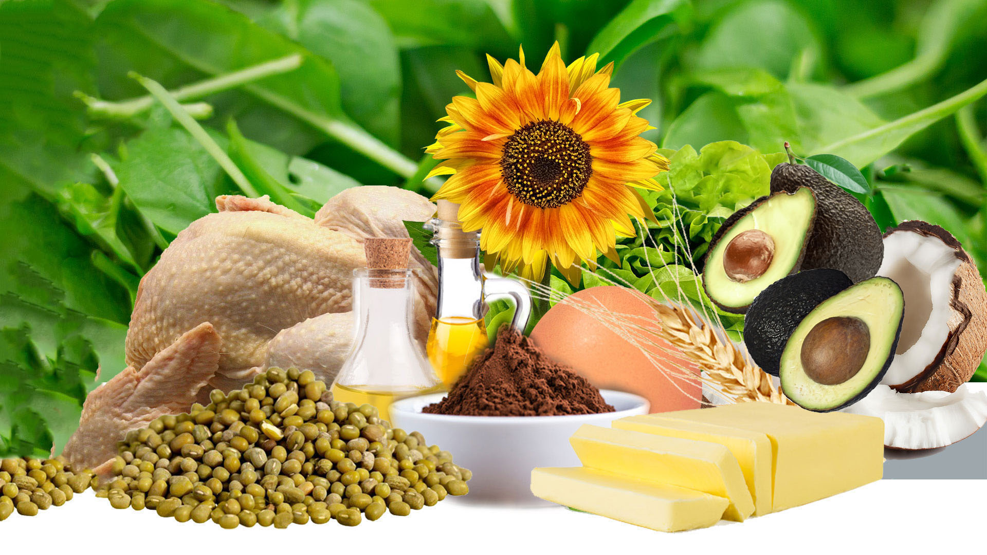 Les vitamines, des petites molécules aux grandes responsabilités